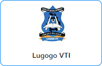 Lugogo VTI Logo